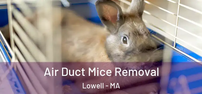  Air Duct Mice Removal Lowell - MA