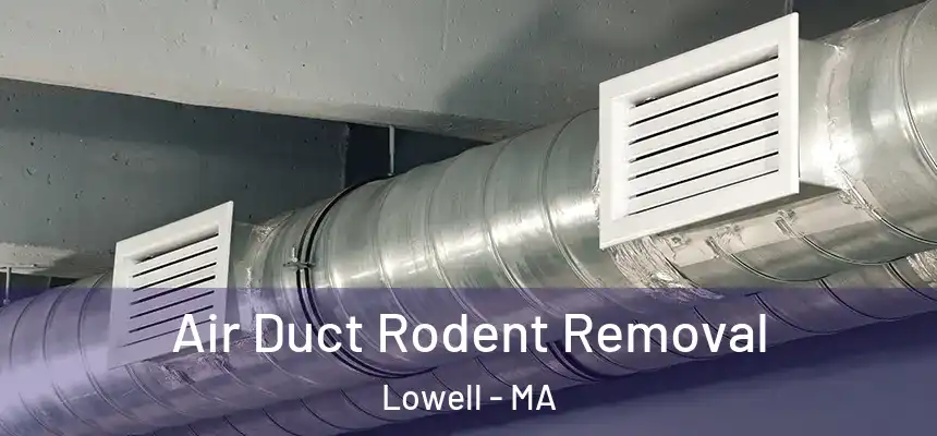 Air Duct Rodent Removal Lowell - MA
