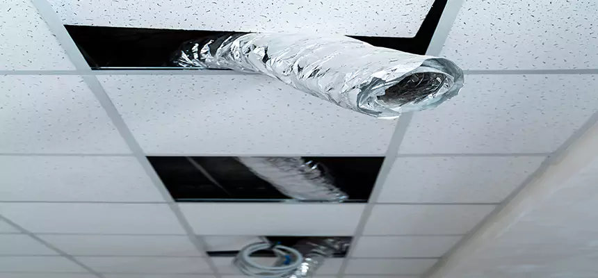 Affordable HVAC Sanitizing After Pest Removal in Lowell