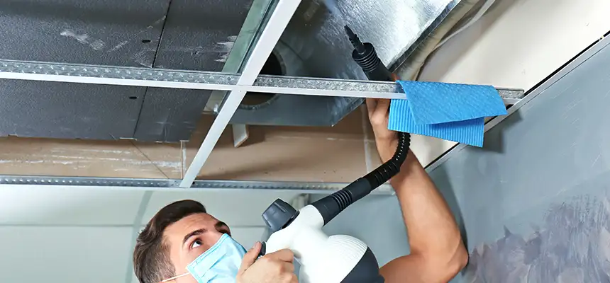 Our Air Duct Rodent Removal Services in Lowell, MA