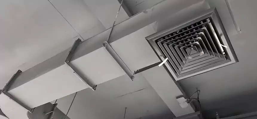 Restorative Allergy Relief Vent Cleaning – Coil, Blower & Housing Detail in Lowell