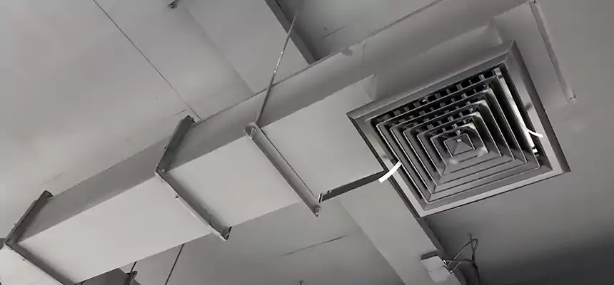 Our Rodent Droppings In Vents Services in Lowell, MA