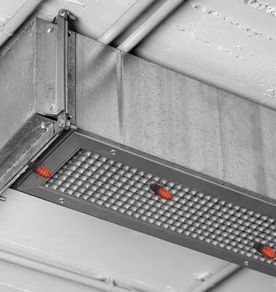 About Air Duct Cockroach Removal in Lowell, MA