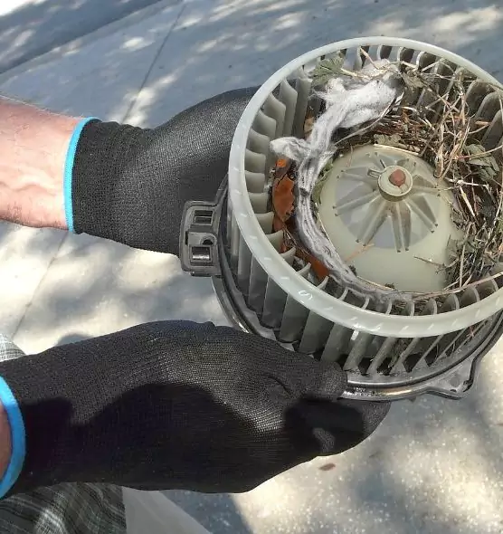 About Air Duct Mice Removal in Lowell, MA